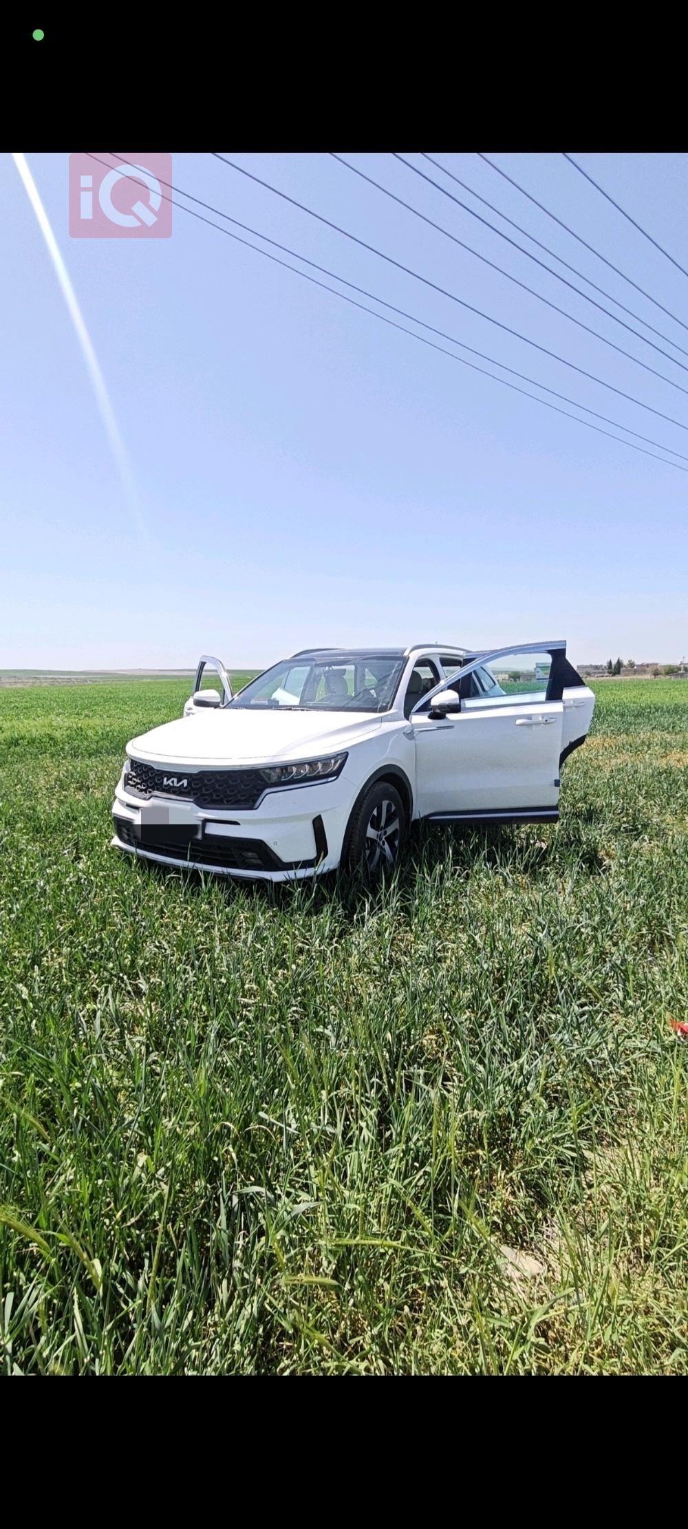 کیا سۆرینتۆ